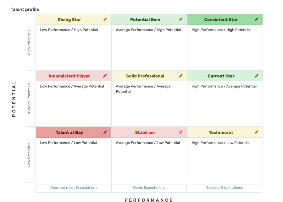 Getting Started With The 9-Box Matrix - SeamlessHR